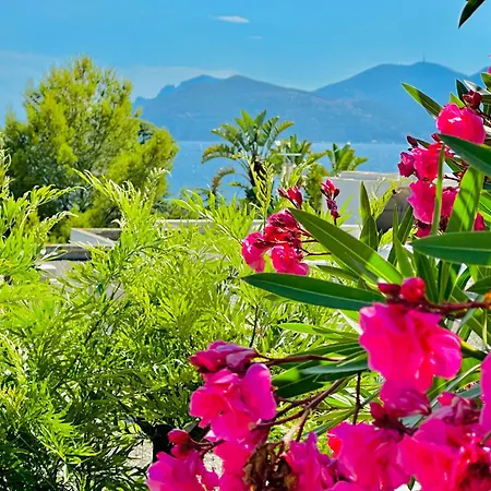 Luxury&privacy - Pool, Parking, Ac - Palais In 5' *